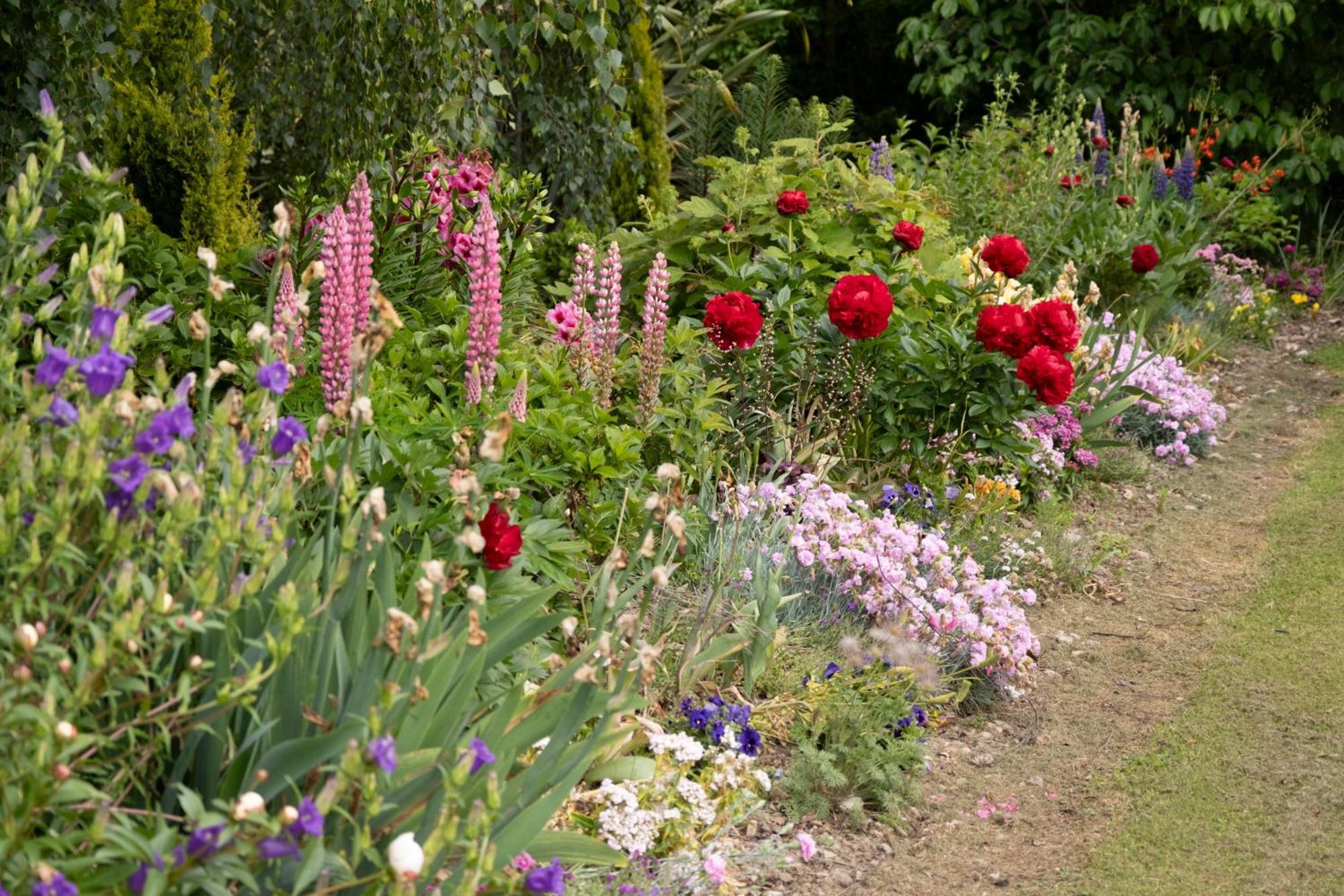 Benger Garden Chalets Millers Flat Dış mekan fotoğraf